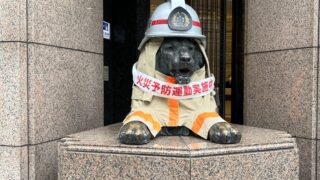 IMG_0682-320x180.jpg